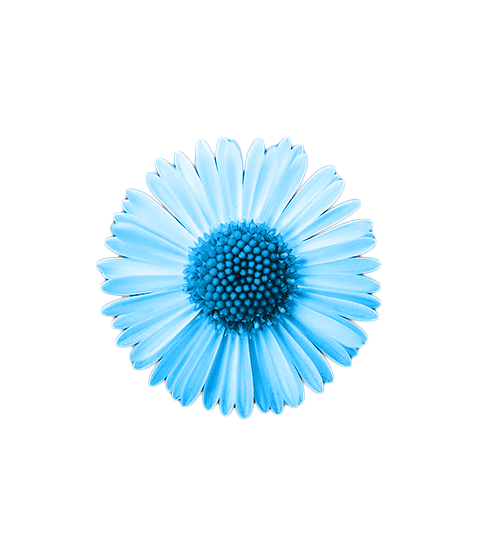CSR
